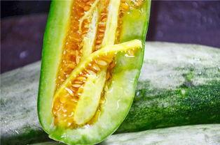 天天吃网红瓜会怎么样,揭秘过度追剧的五大危害