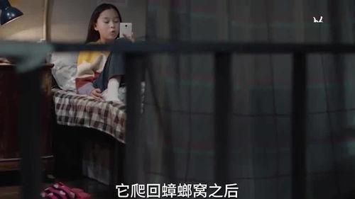 蛇姐最新爆料视频网站,视频网站内幕大曝光！